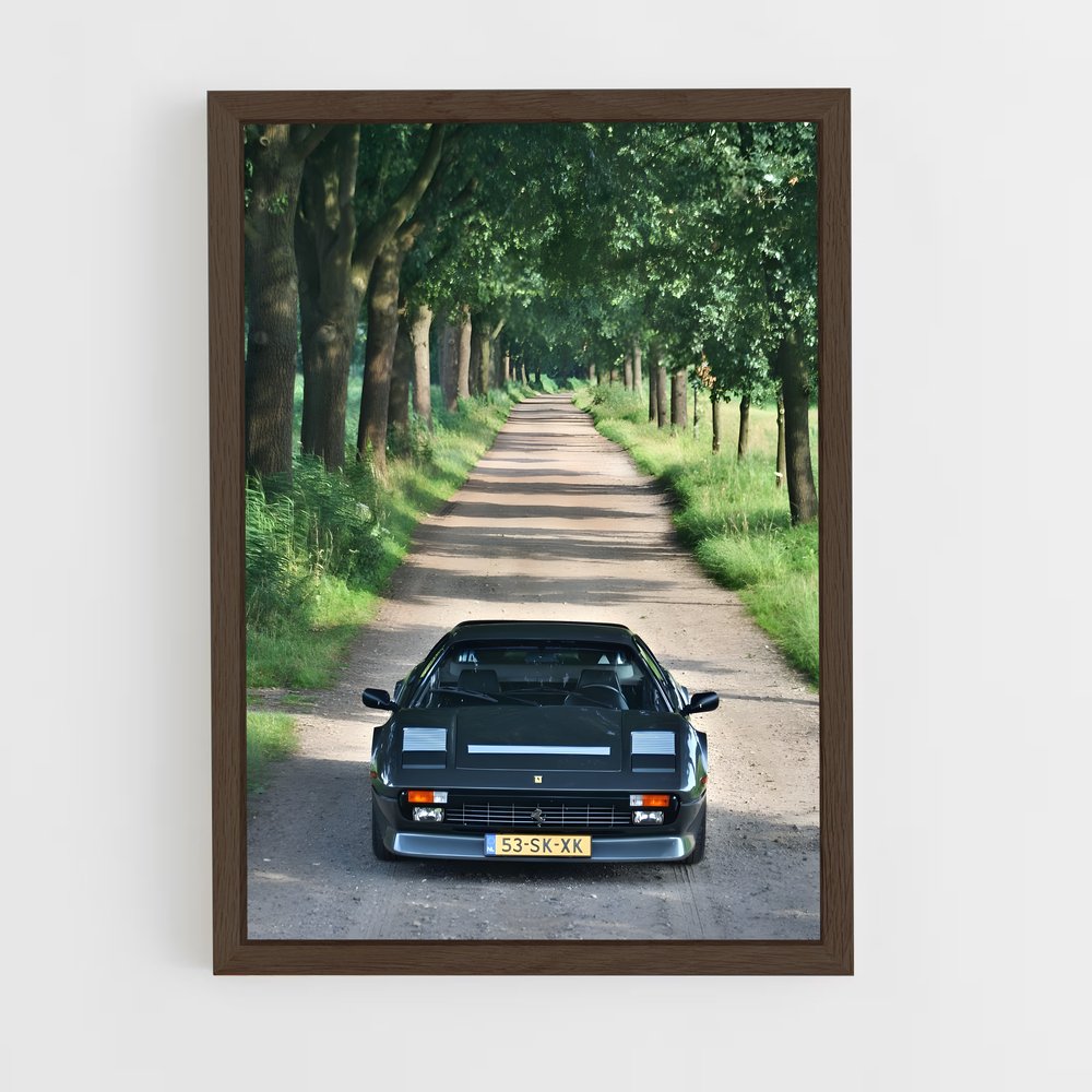Poster Route de la Ferrari (vue 5)